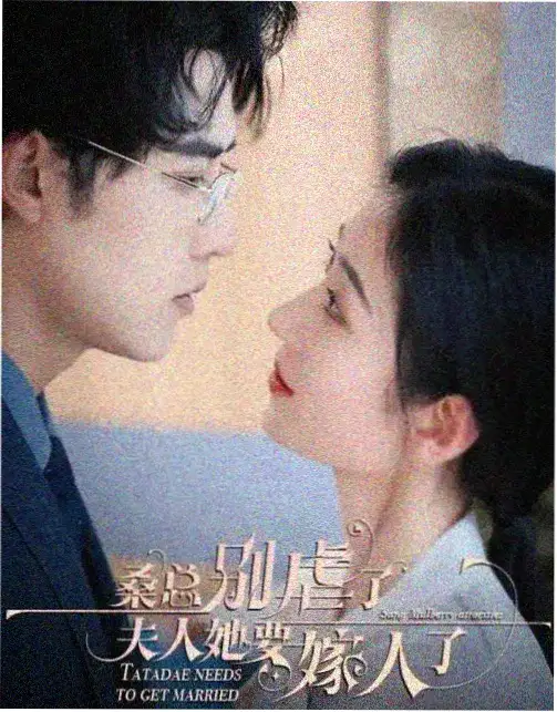 树洞里的秘密